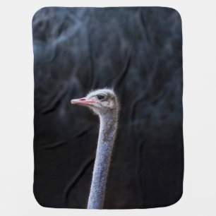 ostrich portrait     baby blanket