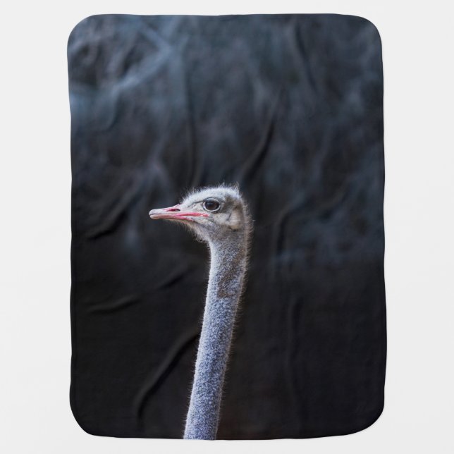 ostrich portrait     baby blanket (Front)