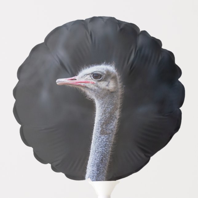 ostrich portrait balloon (Front)