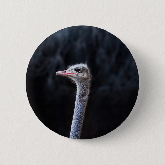 ostrich portrait   button (Front)