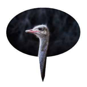 ostrich portrait     cake topper