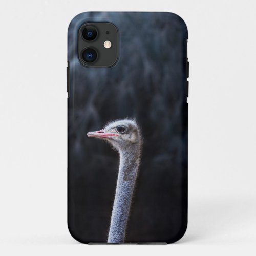 ostrich portrait     iPhone 11 case