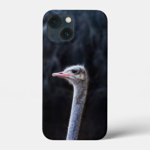 ostrich portrait iPhone 13 mini case