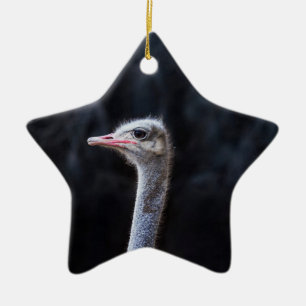 ostrich portrait  ceramic ornament