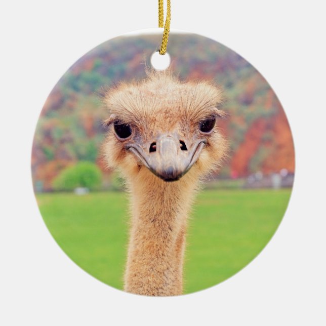 Ostrich portrait ceramic ornament (Front)