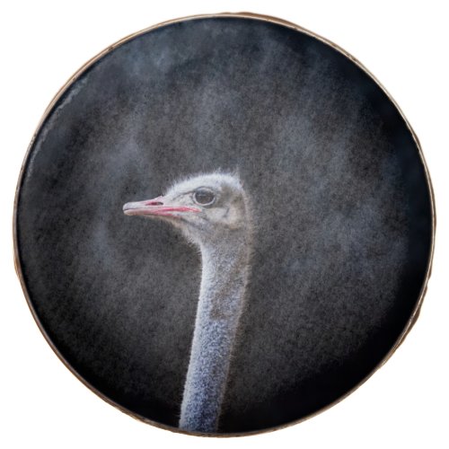 ostrich portrait     chocolate covered oreo