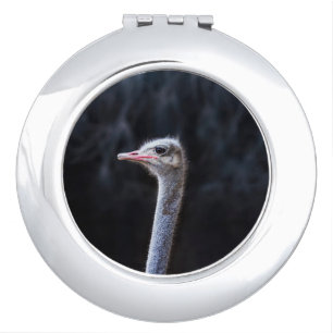 ostrich portrait     compact mirror