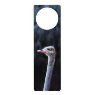 ostrich portrait     door hanger