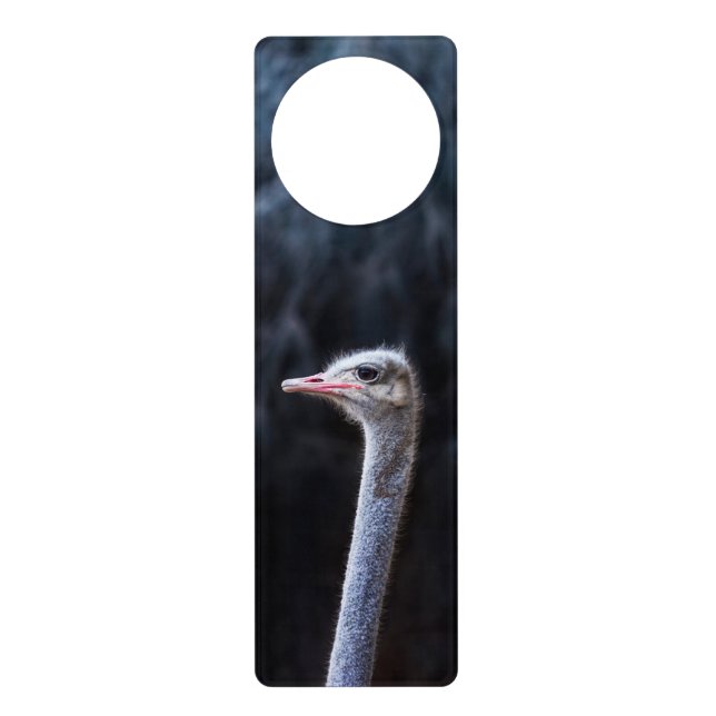 ostrich portrait     door hanger (Front)
