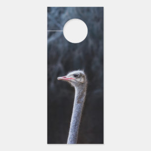 ostrich portrait     door hanger
