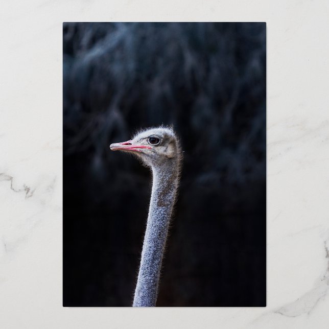ostrich portrait   foil invitation (Front)