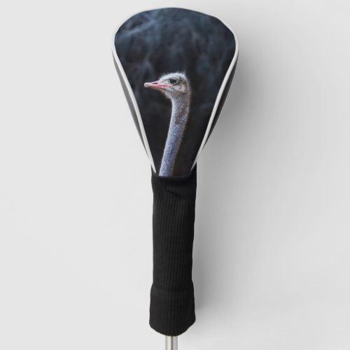 ostrich portrait  golf head cover