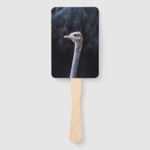 ostrich portrait     hand fan