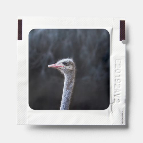 ostrich portrait     hand sanitizer packet