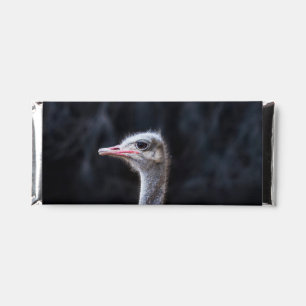 ostrich portrait hershey bar favors