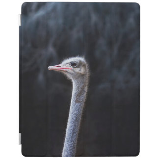 ostrich portrait     iPad smart cover
