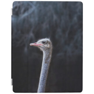 ostrich portrait     iPad smart cover