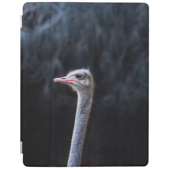 ostrich portrait     iPad smart cover (Front)