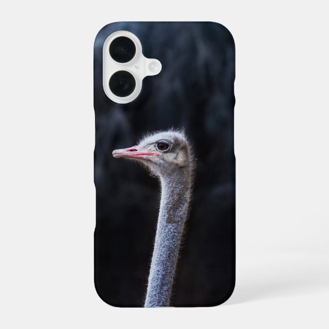 ostrich portrait     iPhone case (Back)