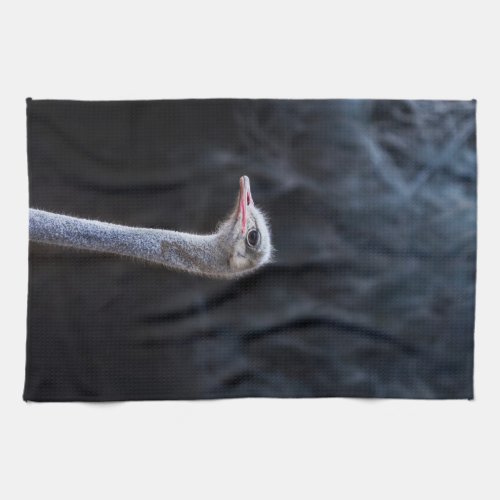 ostrich portrait   kitchen towel