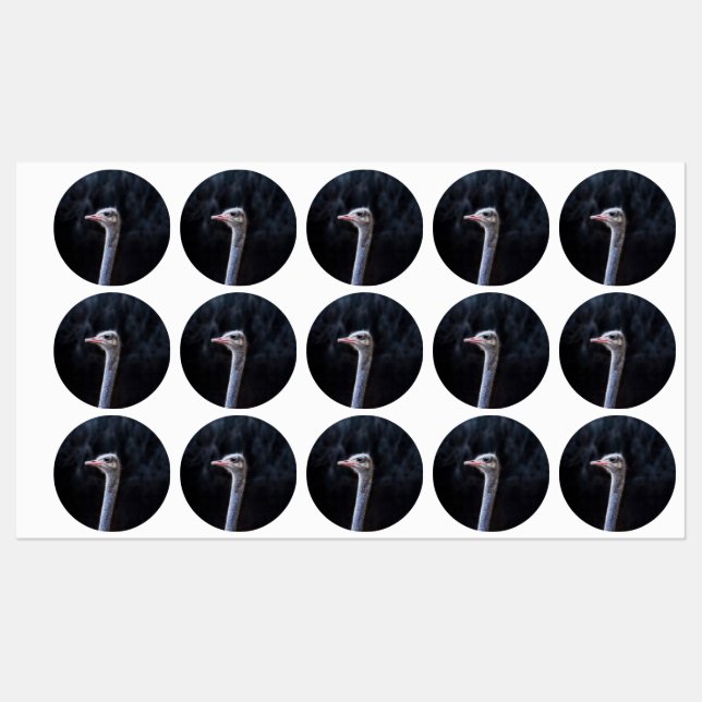 ostrich portrait    labels (Sheet)