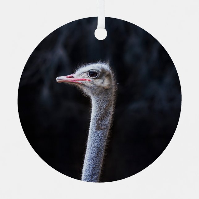 ostrich portrait     metal ornament (Front)