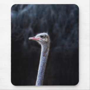 ostrich portrait mouse pad