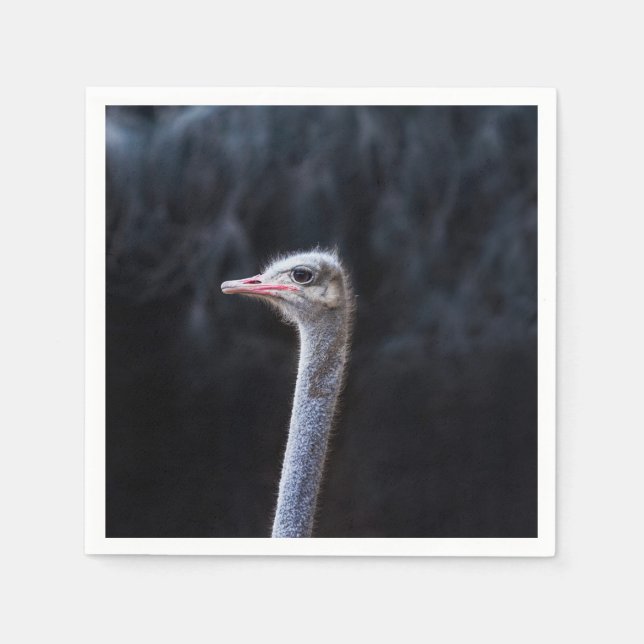 ostrich portrait napkins (Front)
