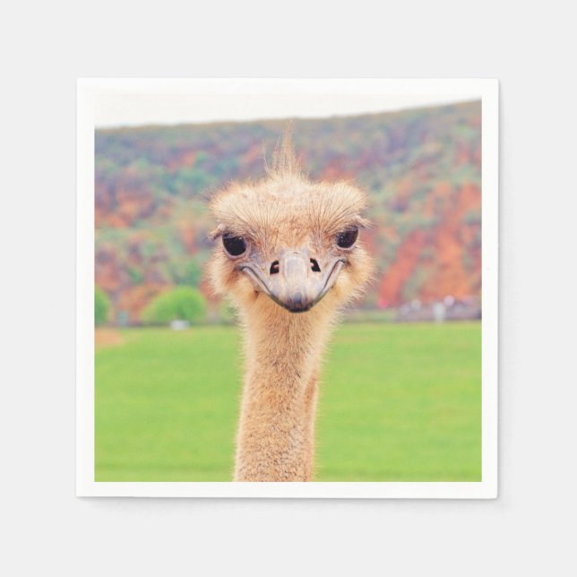 Ostrich portrait napkins (Front)