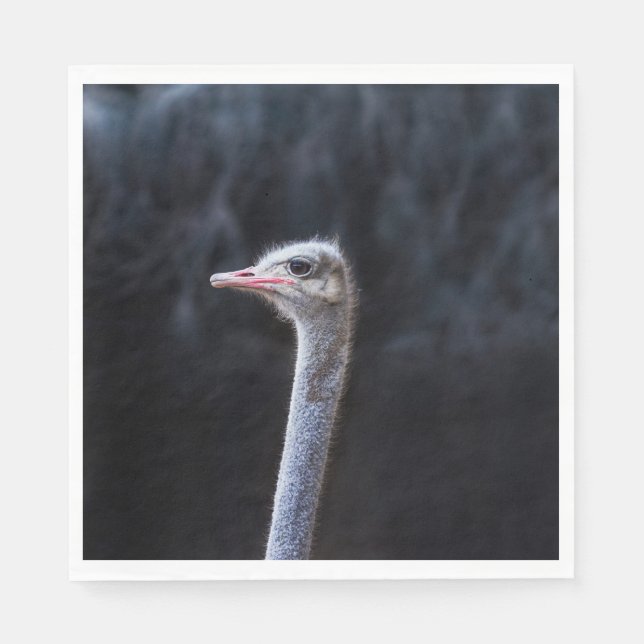 ostrich portrait napkins (Front)
