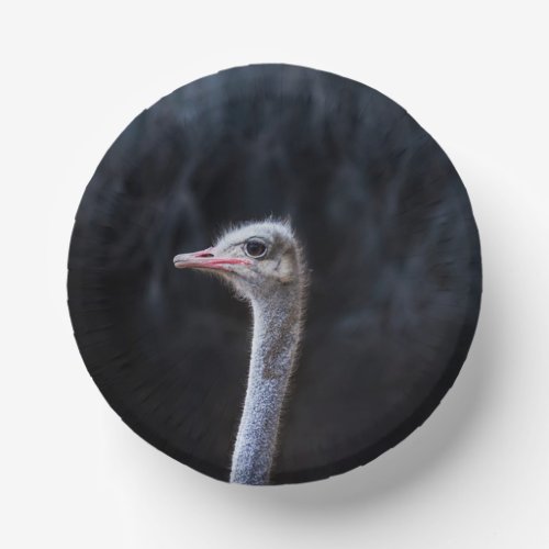 ostrich portrait     paper bowls