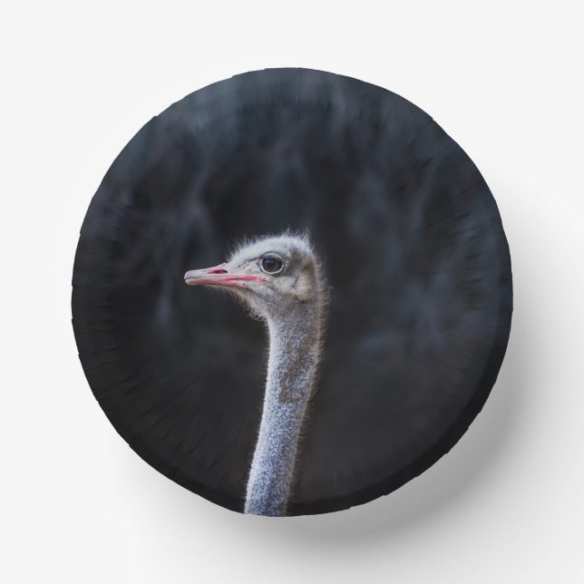 ostrich portrait     paper bowls (Front)