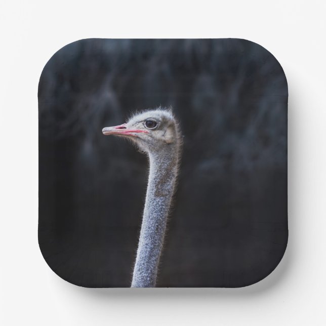 ostrich portrait     paper plates (Front)