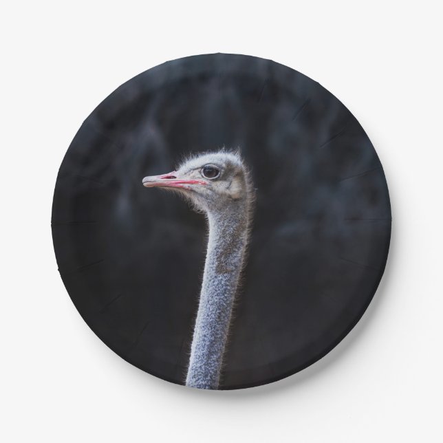 ostrich portrait    paper plates (Front)