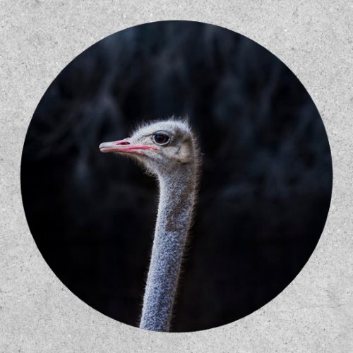 ostrich portrait    patch