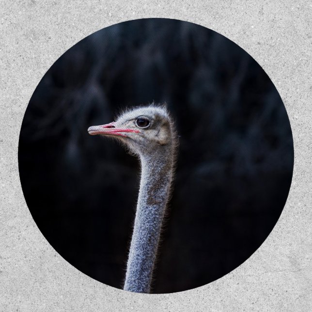 ostrich portrait    patch (Front)