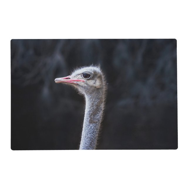 ostrich portrait   placemat (Front)
