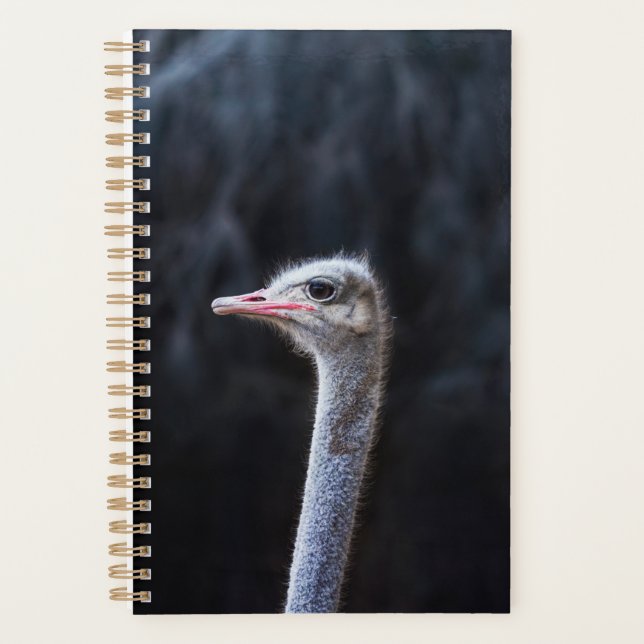 ostrich portrait     planner (Front)