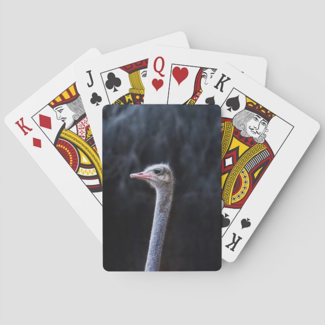 ostrich portrait    poker cards (Back)