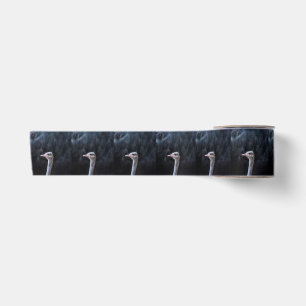 ostrich portrait satin ribbon