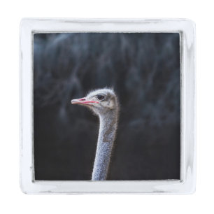 ostrich portrait     silver finish lapel pin