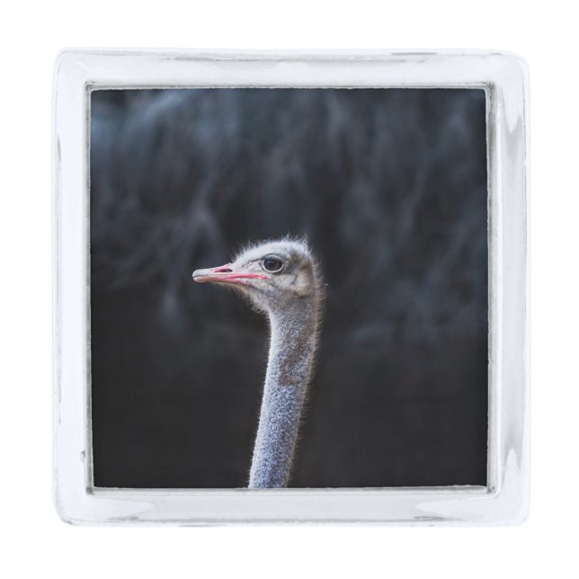 ostrich portrait     silver finish lapel pin (Front)