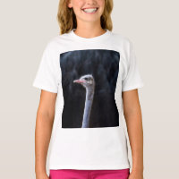 ostrich portrait