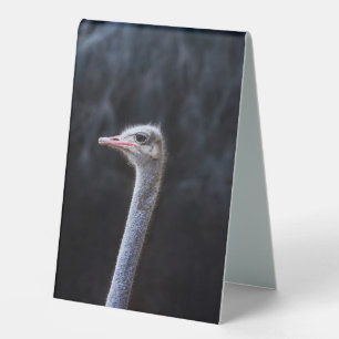 ostrich portrait table tent