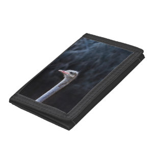 ostrich portrait trifold wallet