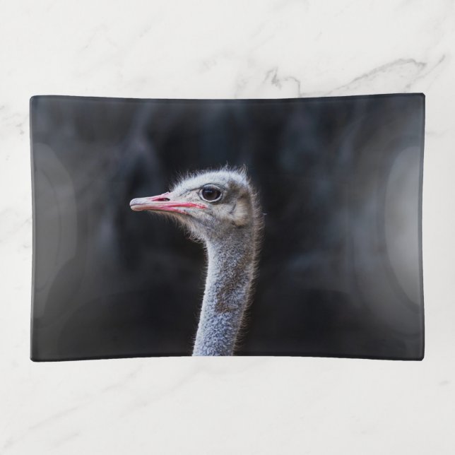 ostrich portrait     trinket tray (Front)