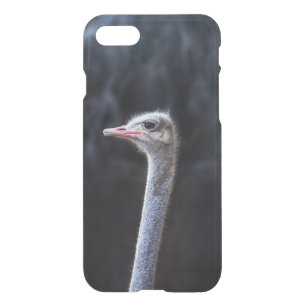 ostrich portrait     iPhone SE/8/7 case