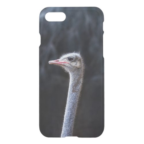 ostrich portrait     iPhone SE87 case