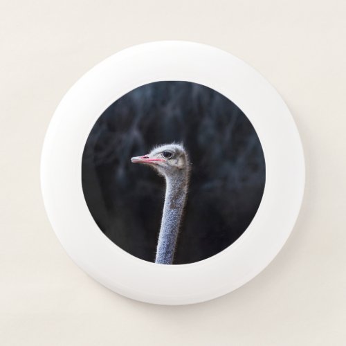 ostrich portrait     Wham_O frisbee