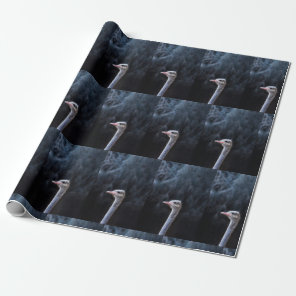 ostrich portrait    wrapping paper